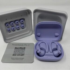 Powerbeats Pro 2 Wireless Earbuds - Purple